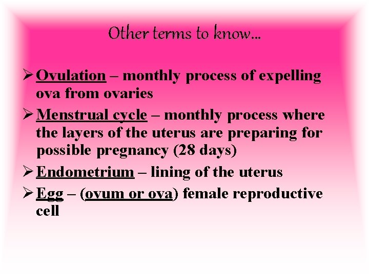 Other terms to know… Ø Ovulation – monthly process of expelling ova from ovaries