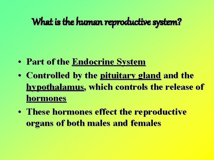 What is the human reproductive system? • Part of the Endocrine System • Controlled
