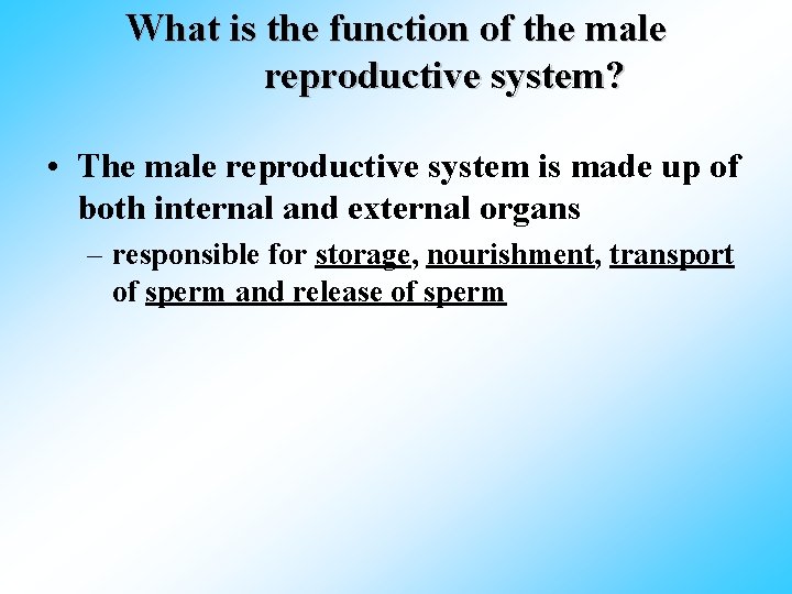 What is the function of the male reproductive system? • The male reproductive system