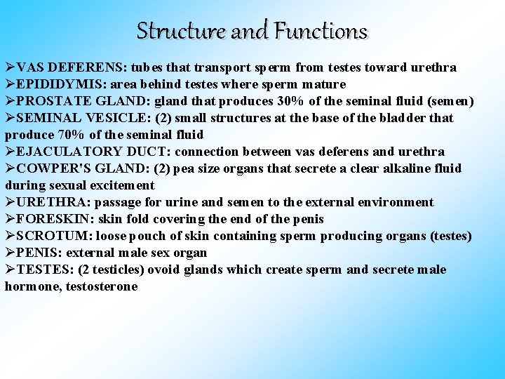 Structure and Functions ØVAS DEFERENS: tubes that transport sperm from testes toward urethra ØEPIDIDYMIS: