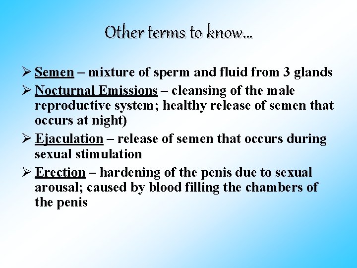 Other terms to know… Ø Semen – mixture of sperm and fluid from 3