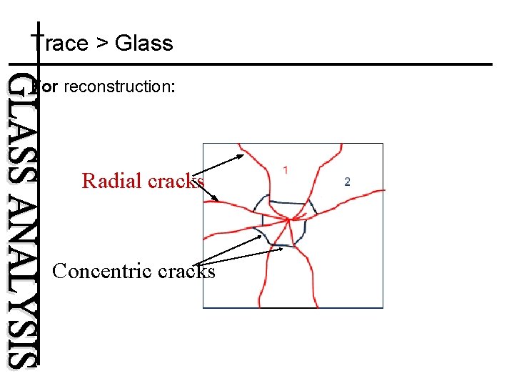 Trace > Glass For reconstruction: Radial cracks Concentric cracks 