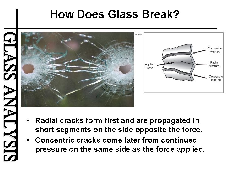 How Does Glass Break? • Radial cracks form first and are propagated in short