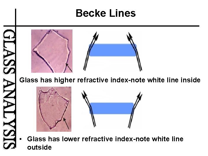 Becke Lines Glass has higher refractive index-note white line inside • Glass has lower