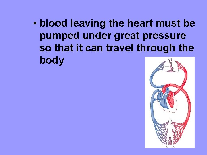  • blood leaving the heart must be pumped under great pressure so that