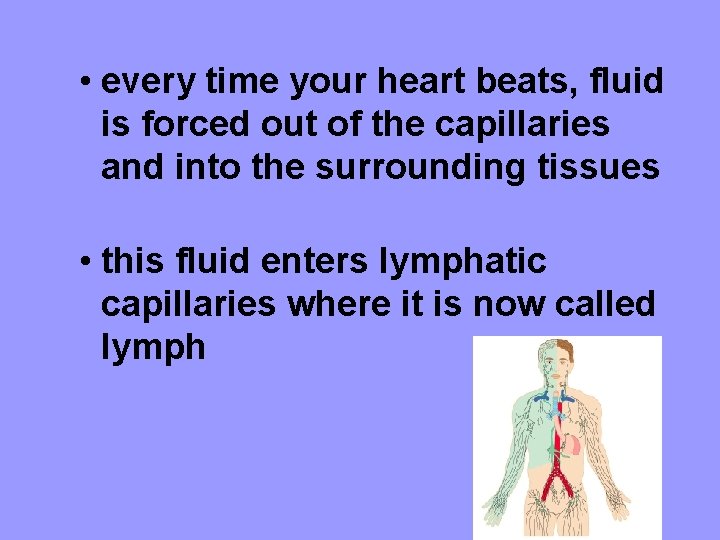  • every time your heart beats, fluid is forced out of the capillaries