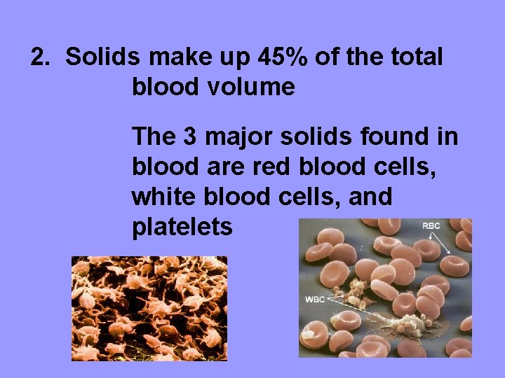 2. Solids make up 45% of the total blood volume The 3 major solids