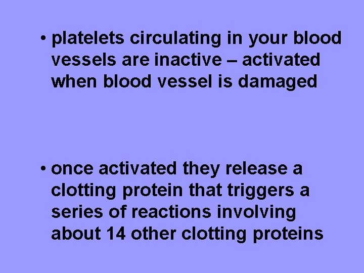  • platelets circulating in your blood vessels are inactive – activated when blood