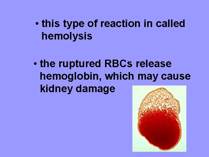  • this type of reaction in called hemolysis • the ruptured RBCs release