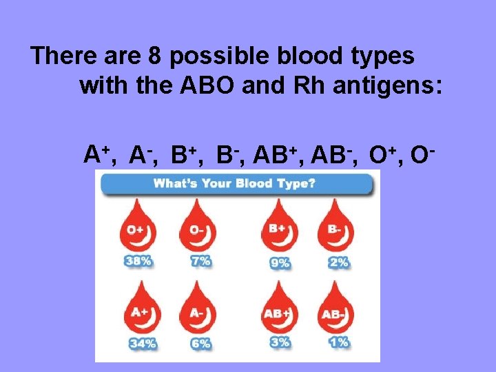 There are 8 possible blood types with the ABO and Rh antigens: A+, A-,