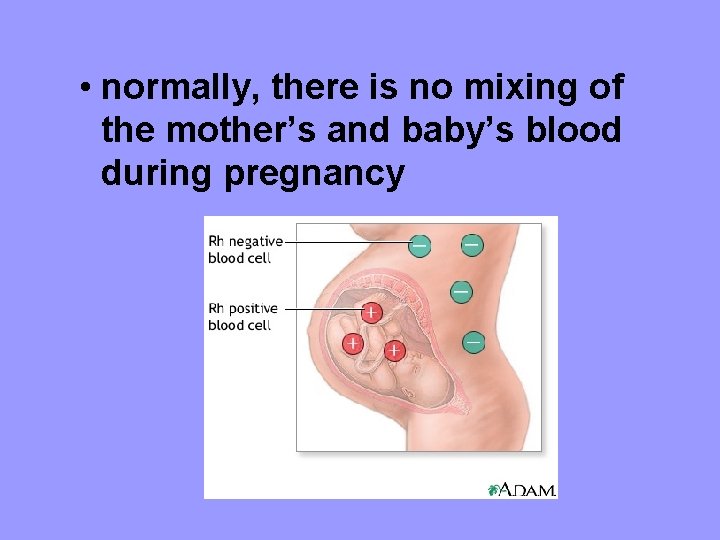  • normally, there is no mixing of the mother’s and baby’s blood during