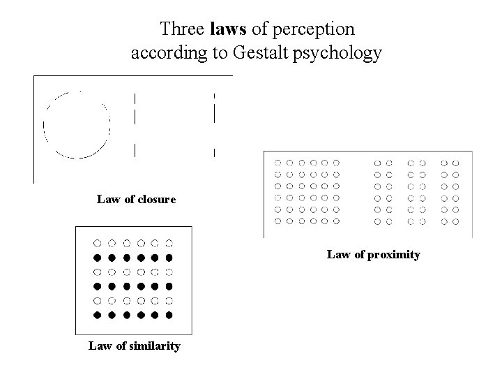 Three laws of perception according to Gestalt psychology Law of closure Law of proximity