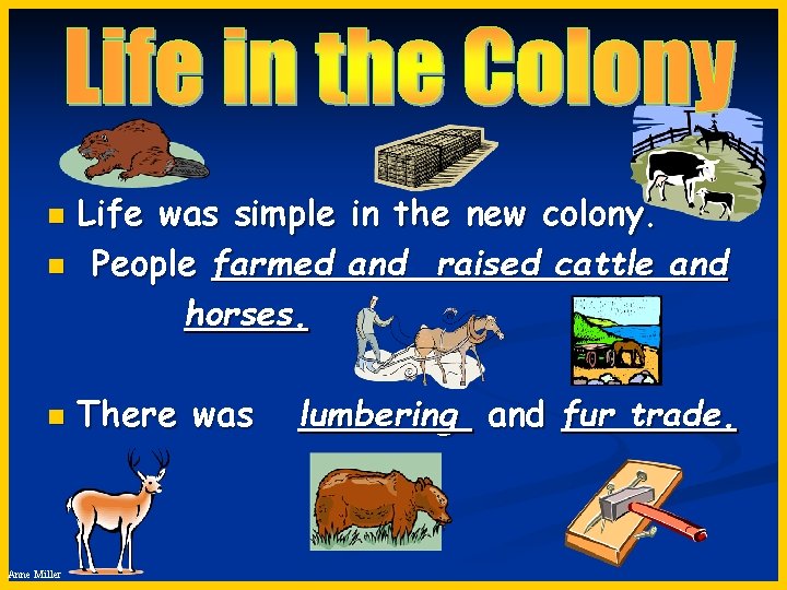 Life was simple in the new colony. n People farmed and raised cattle and