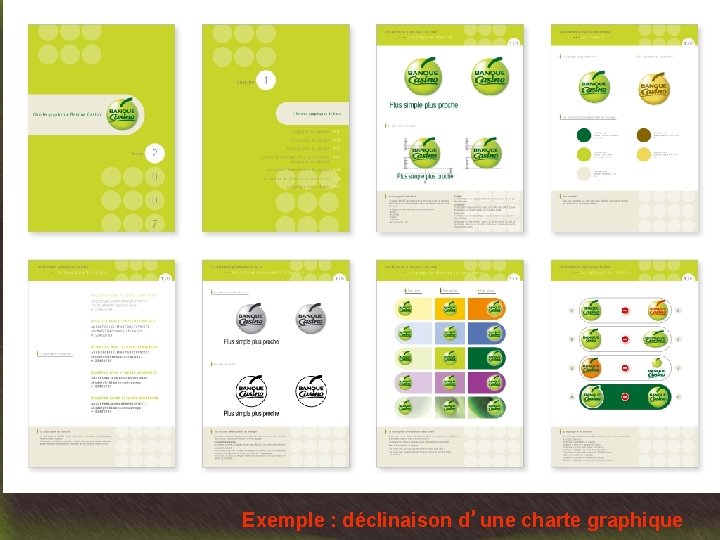 Exemple : déclinaison d’une charte graphique 