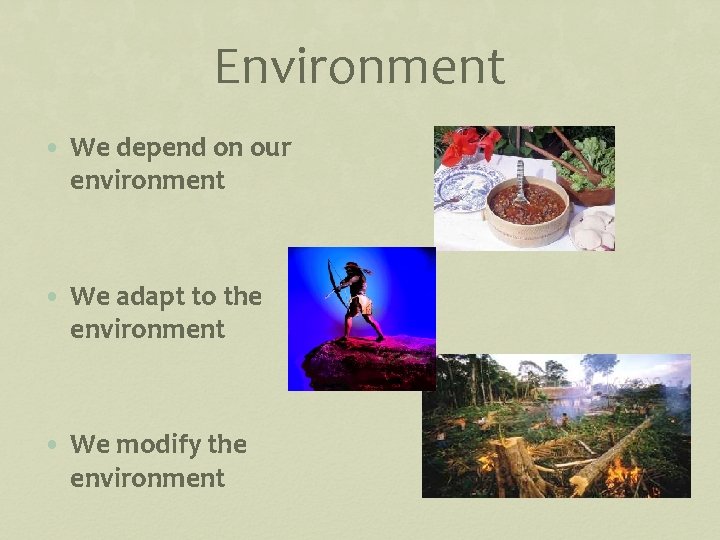 Environment • We depend on our environment • We adapt to the environment •