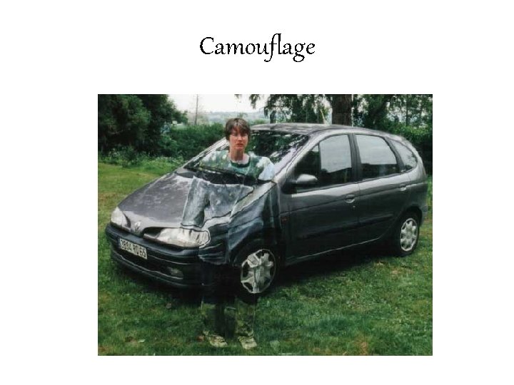 Camouflage 