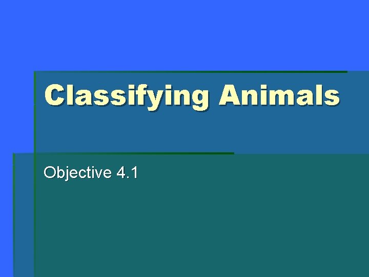 Classifying Animals Objective 4. 1 