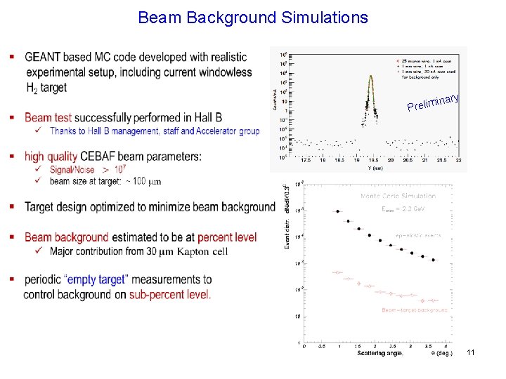 Beam Background Simulations ary in Prelim 11 