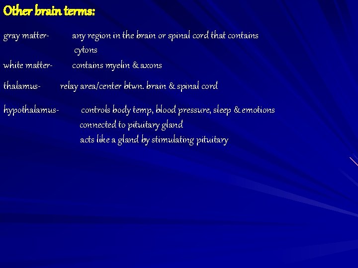 Other brain terms: gray matterwhite matterthalamushypothalamus- any region in the brain or spinal cord