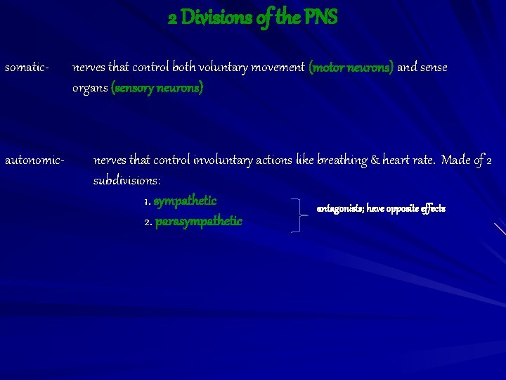 2 Divisions of the PNS somatic- autonomic- nerves that control both voluntary movement (motor