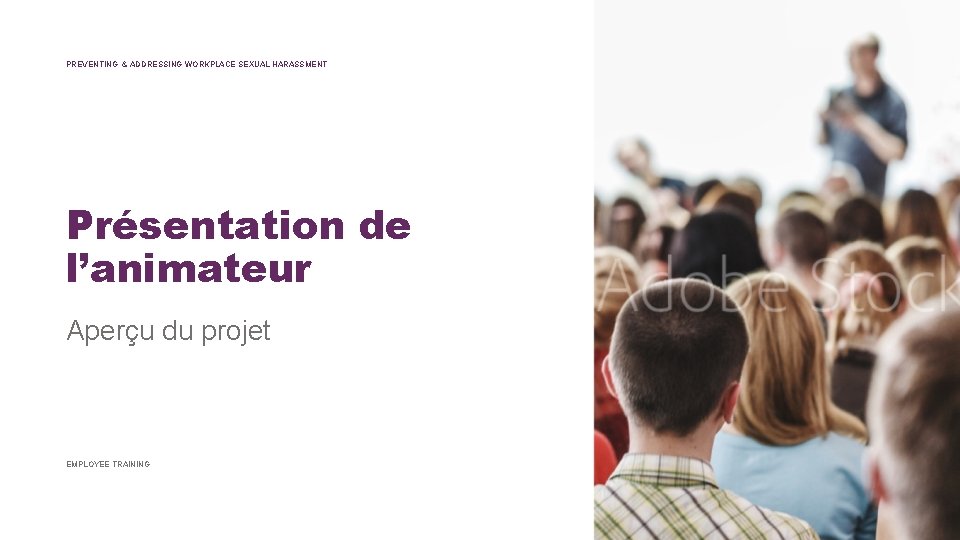 PREVENTING & ADDRESSING WORKPLACE SEXUAL HARASSMENT Présentation de l’animateur Aperçu du projet EMPLOYEE TRAINING