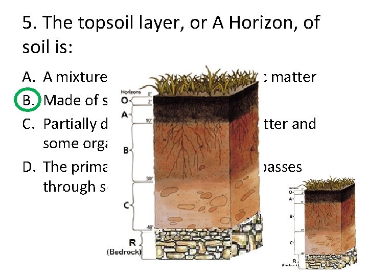 Ecosystems and their Organisms Some of what you