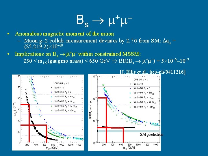 B s + – • Anomalous magnetic moment of the muon – Muon g–