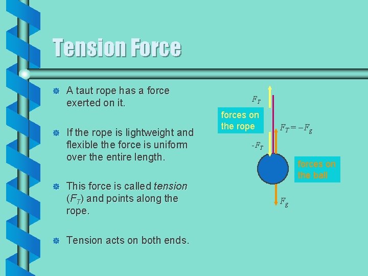 Tension Force ] ] A taut rope has a force exerted on it. If