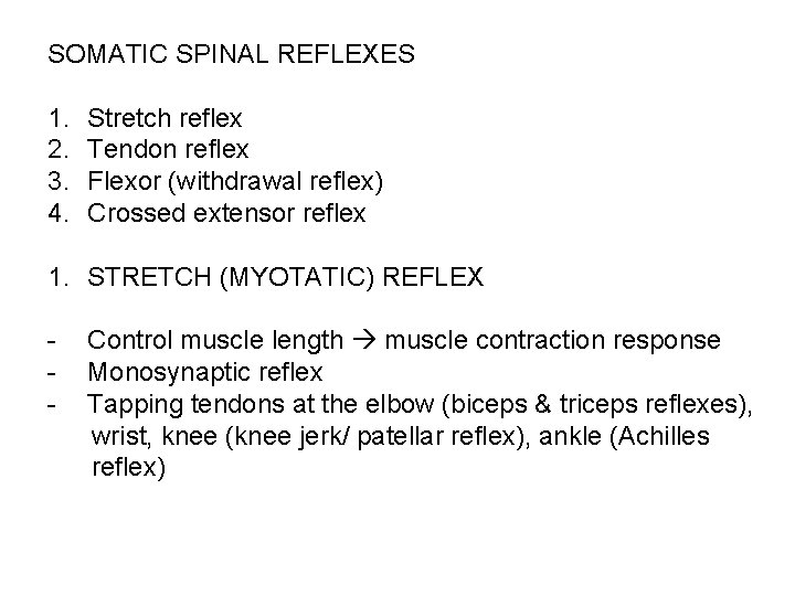 SOMATIC SPINAL REFLEXES 1. 2. 3. 4. Stretch reflex Tendon reflex Flexor (withdrawal reflex)