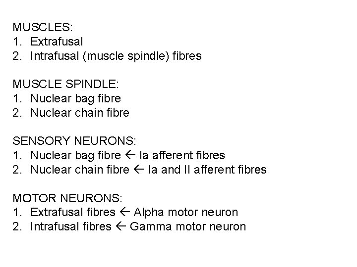 MUSCLES: 1. Extrafusal 2. Intrafusal (muscle spindle) fibres MUSCLE SPINDLE: 1. Nuclear bag fibre