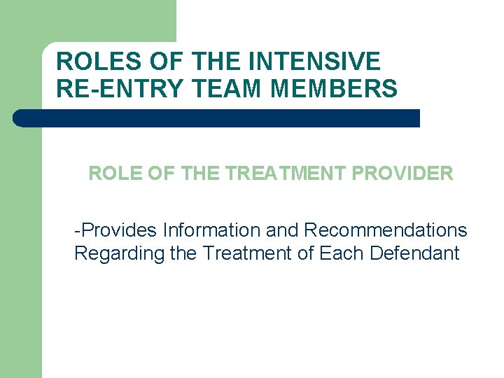 ROLES OF THE INTENSIVE RE-ENTRY TEAM MEMBERS ROLE OF THE TREATMENT PROVIDER -Provides Information