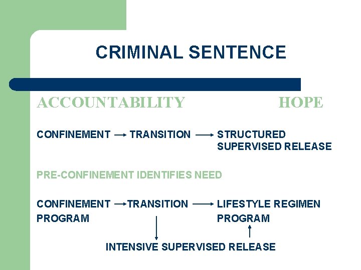 CRIMINAL SENTENCE ACCOUNTABILITY CONFINEMENT TRANSITION HOPE STRUCTURED SUPERVISED RELEASE PRE-CONFINEMENT IDENTIFIES NEED CONFINEMENT PROGRAM