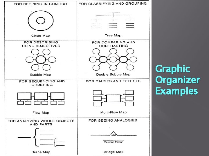 Graphic Organizer Examples 