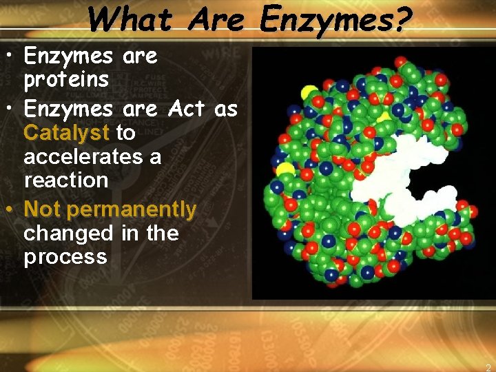 What Are Enzymes? • Enzymes are proteins • Enzymes are Act as Catalyst to