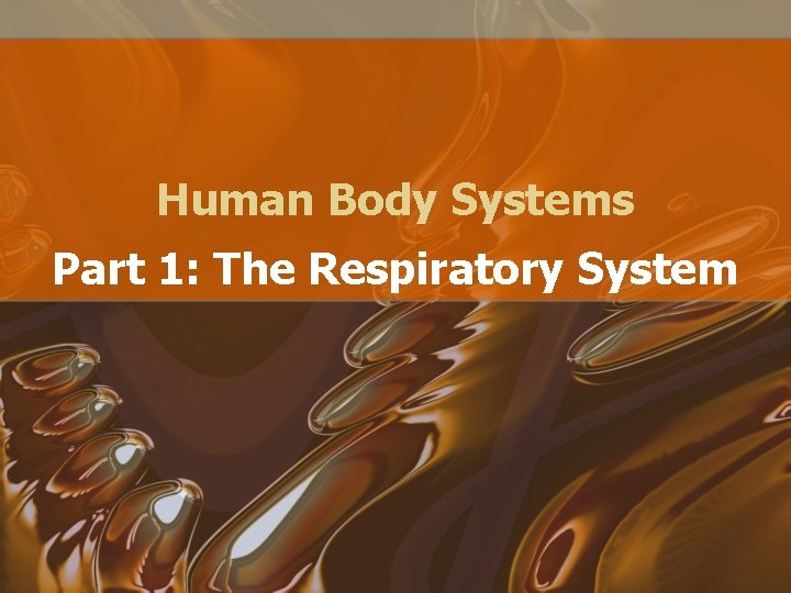 Human Body Systems Part 1: The Respiratory System 