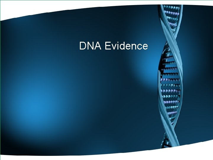 DNA Evidence 
