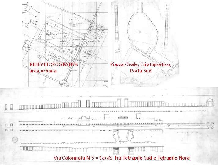 RILIEVI TOPOGRAFICI: area urbana Piazza Ovale, Criptoportico, Porta Sud Via Colonnata N-S = Cardo