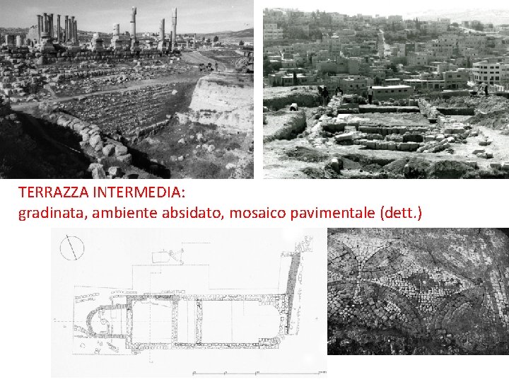 TERRAZZA INTERMEDIA: gradinata, ambiente absidato, mosaico pavimentale (dett. ) 