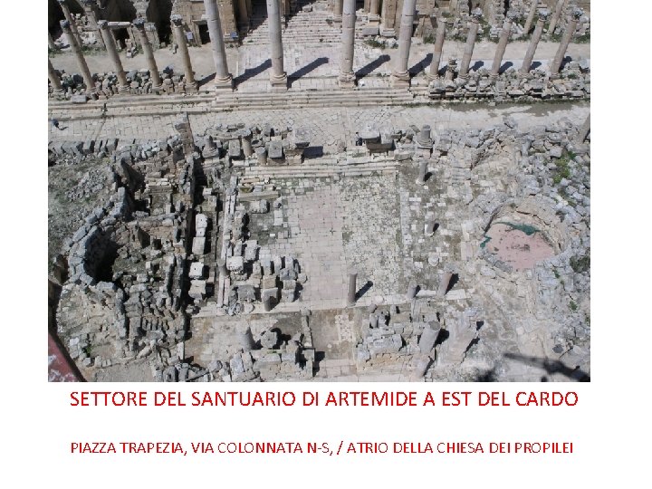 SETTORE DEL SANTUARIO DI ARTEMIDE A EST DEL CARDO PIAZZA TRAPEZIA, VIA COLONNATA N-S,