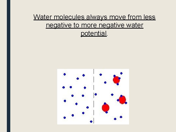 Water molecules always move from less negative to more negative water potential. 