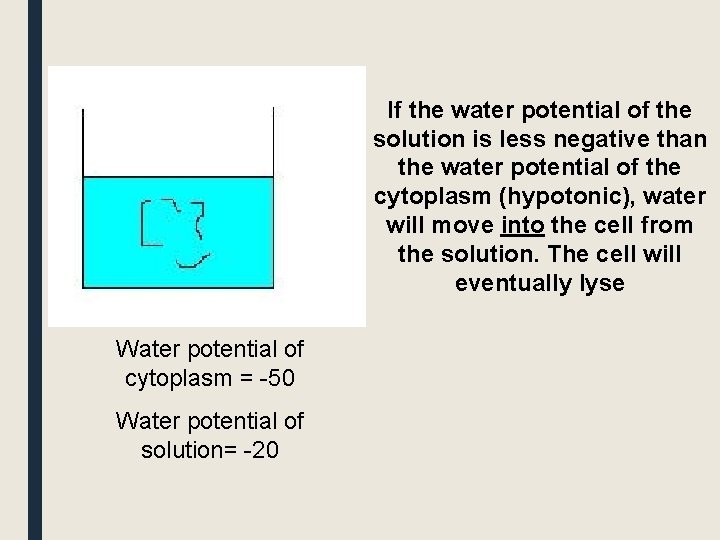 If the water potential of the solution is less negative than the water potential