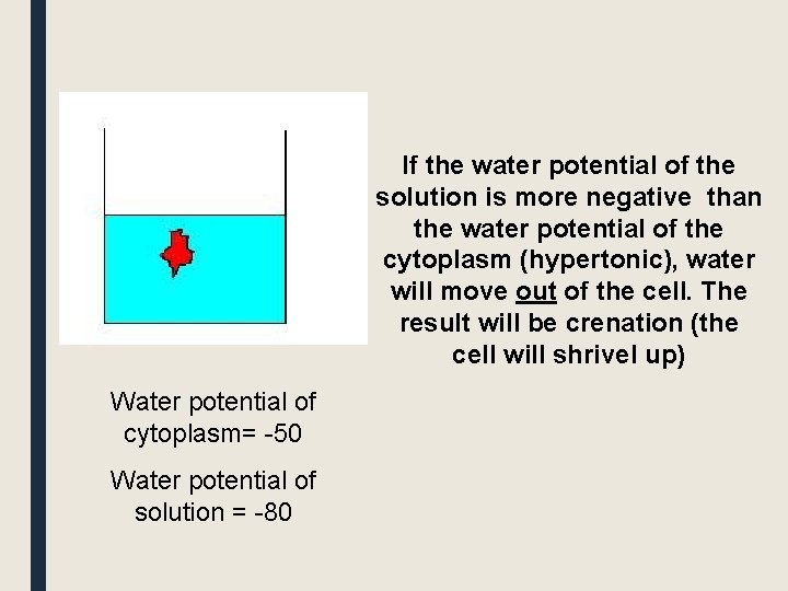 If the water potential of the solution is more negative than the water potential