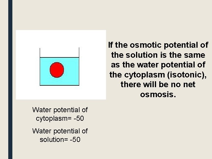 If the osmotic potential of the solution is the same as the water potential