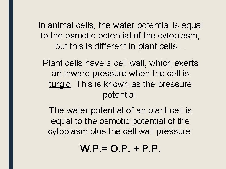 In animal cells, the water potential is equal to the osmotic potential of the