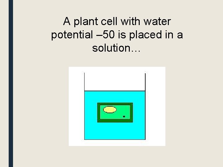 A plant cell with water potential – 50 is placed in a solution… 