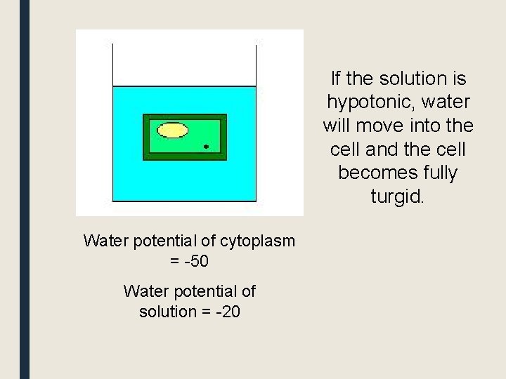If the solution is hypotonic, water will move into the cell and the cell