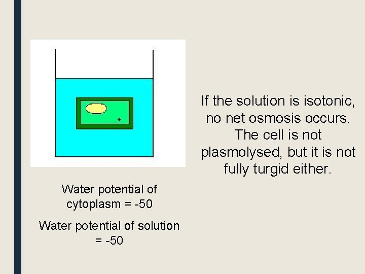 If the solution is isotonic, no net osmosis occurs. The cell is not plasmolysed,