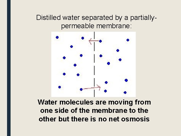 Distilled water separated by a partiallypermeable membrane: Water molecules are moving from one side