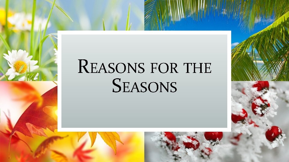 REASONS FOR THE SEASONS 