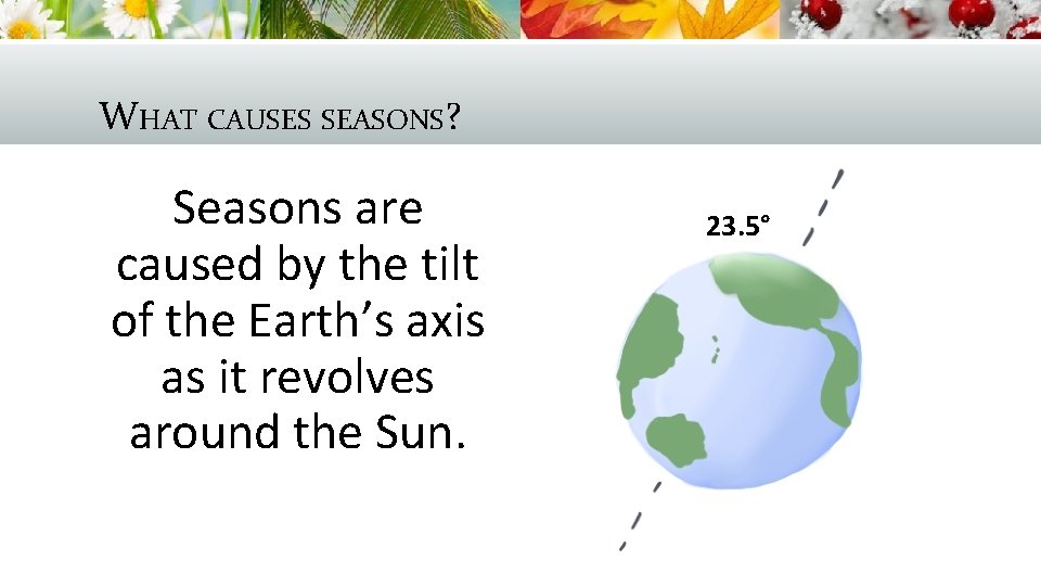 WHAT CAUSES SEASONS? Seasons are caused by the tilt of the Earth’s axis as